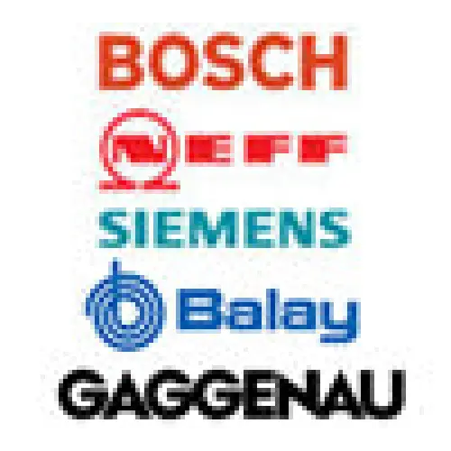 Bosch Neff Siemens Dishwasher Door Lock: EMZ EG-10015-2